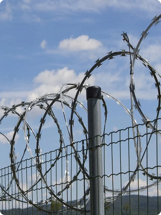 Concertina Razor Wire